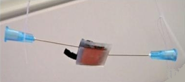 Микрогенератор электроэнергии работает на слюне Микрогенератор электроэнергии работает на слюне