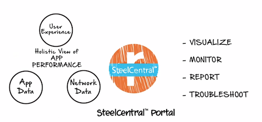 Riverbed выпускает инструмент для гибридной ИТ-среды SteelCentral Portal