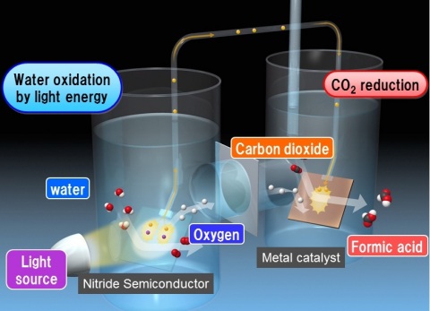 Panasonic разработала эффективный процесс искусственного фотосинтеза Panasonic разработала эффективный процесс искусственного фотосинтеза