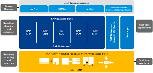 SAP Business Suite в режиме реального времени