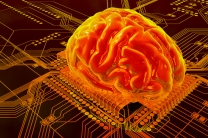 Ферроэлектрические мемристоры — кандидаты на роль синапсов искусственного мозга Ферроэлектрические мемристоры — кандидаты на роль синапсов искусственного мозга