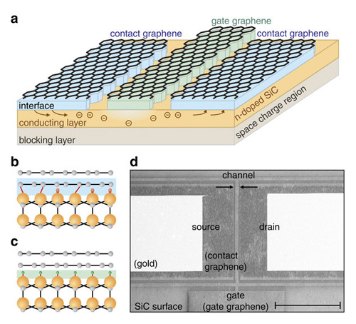 Предложен метод создания полностью графеновых схем Предложен метод создания полностью графеновых схем