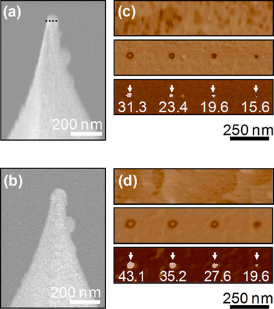 Боридное покрытие увеличивает срок эксплуатации зондовой памяти до 8 лет Боридное покрытие увеличивает срок эксплуатации зондовой памяти до 8 лет