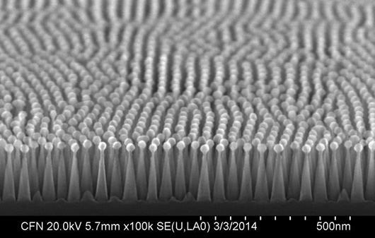 Нанотекстура уподобляет поверхность кремния глазу бабочки Нанотекстура уподобляет поверхность кремния глазу бабочки