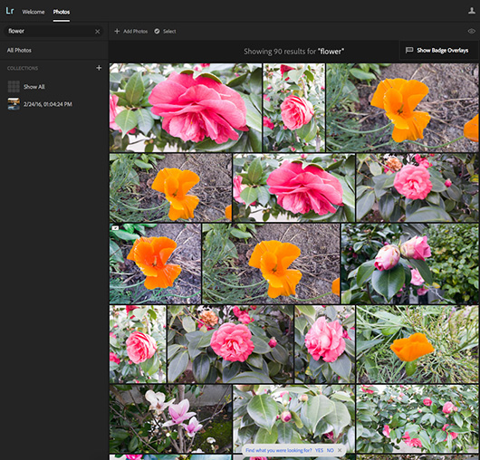 Функция поиска для Adobe Lightroom использует машинное обучение Функция поиска для Adobe Lightroom использует машинное обучение