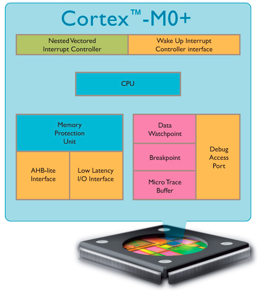 ARM выпускает самый энергоэффективный в мире процессор Cortex-M0+