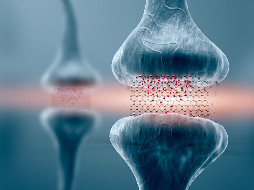 Графеновые мемристоры демонстрируют свой потенциал для нейроморфных вычислений Графеновые мемристоры демонстрируют свой потенциал для нейроморфных вычислений