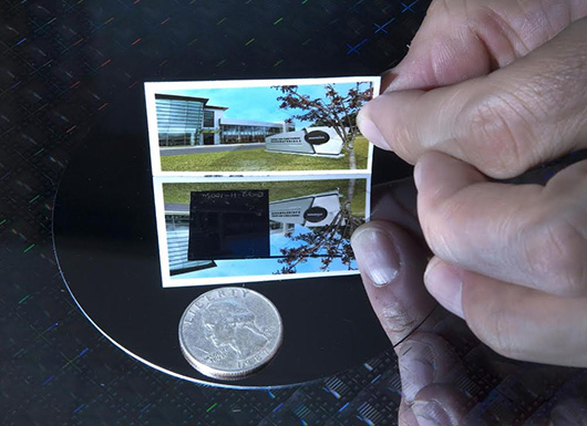 Нанотекстура уподобляет поверхность кремния глазу бабочки Нанотекстура уподобляет поверхность кремния глазу бабочки