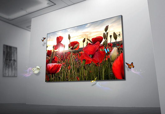 LG Display получила рекордную квартальную прибыль в 602,3 млн долл.