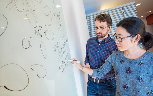 Проблемы магний-ионных батарей оказались преувеличены Проблемы магний-ионных батарей оказались преувеличены