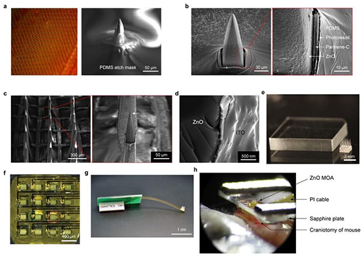 Разработан оптоэлектронный интерфейс между мозгом и компьютером Разработан оптоэлектронный интерфейс между мозгом и компьютером