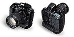 Canon EOS D60 -- мастер репортажной съемки