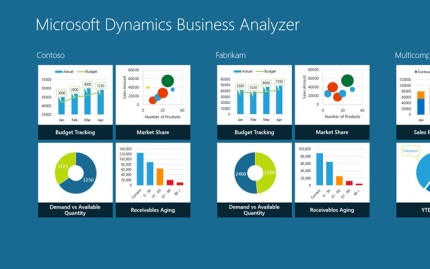 Microsoft Dynamics Business Analyzer