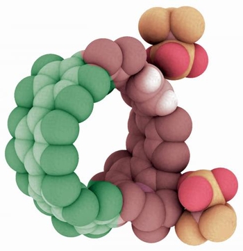 Нанообручи – новый класс органических полупроводников