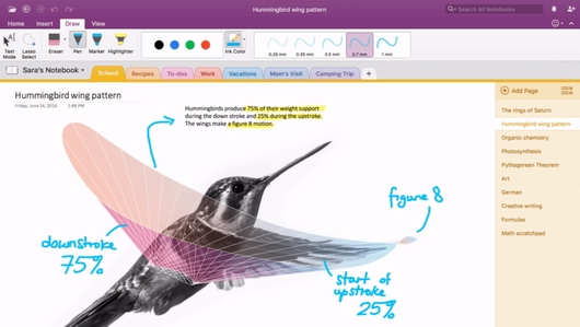 OneNote обзавелась улучшенными возможностями совместной работы