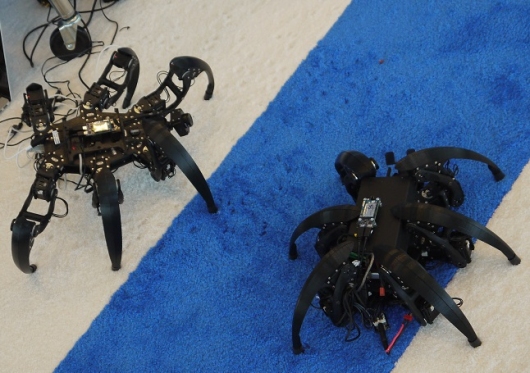 Самоделкин и компания