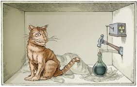 Шредингеровский кот попытка согласовать со здравым смыслом (квантовомеханическим)