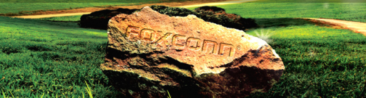 Foxconn намерена конкурировать с Ericsson и Huawei?