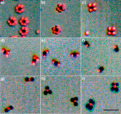 Разработан способ управляемого получения кристаллоподобных структур из наночастиц Разработан способ управляемого получения кристаллоподобных структур из наночастиц