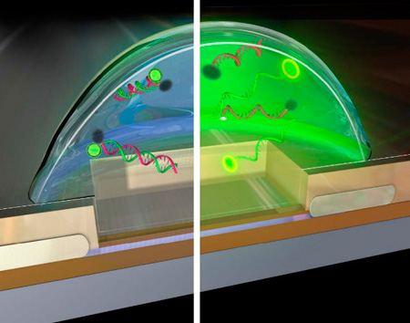 Создан чип для анализа биохимических реакций в нанокаплях