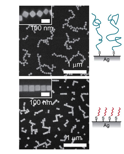 Плазмонные антенны можно собирать из металлических нанокубиков