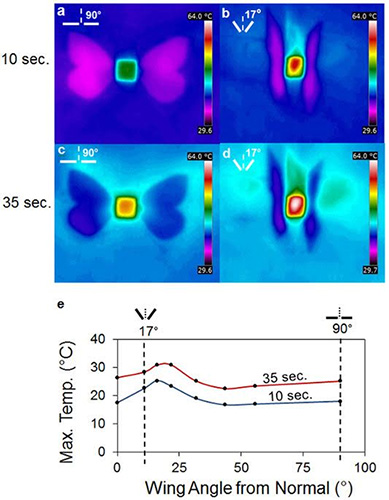 Бабочка-капустница подсказала способ улучшения солнечных батарей