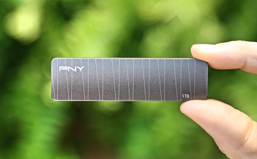 PNY показала внешние SSD с интерфейсом USB 3.1 и емкостью до 2 ТБ