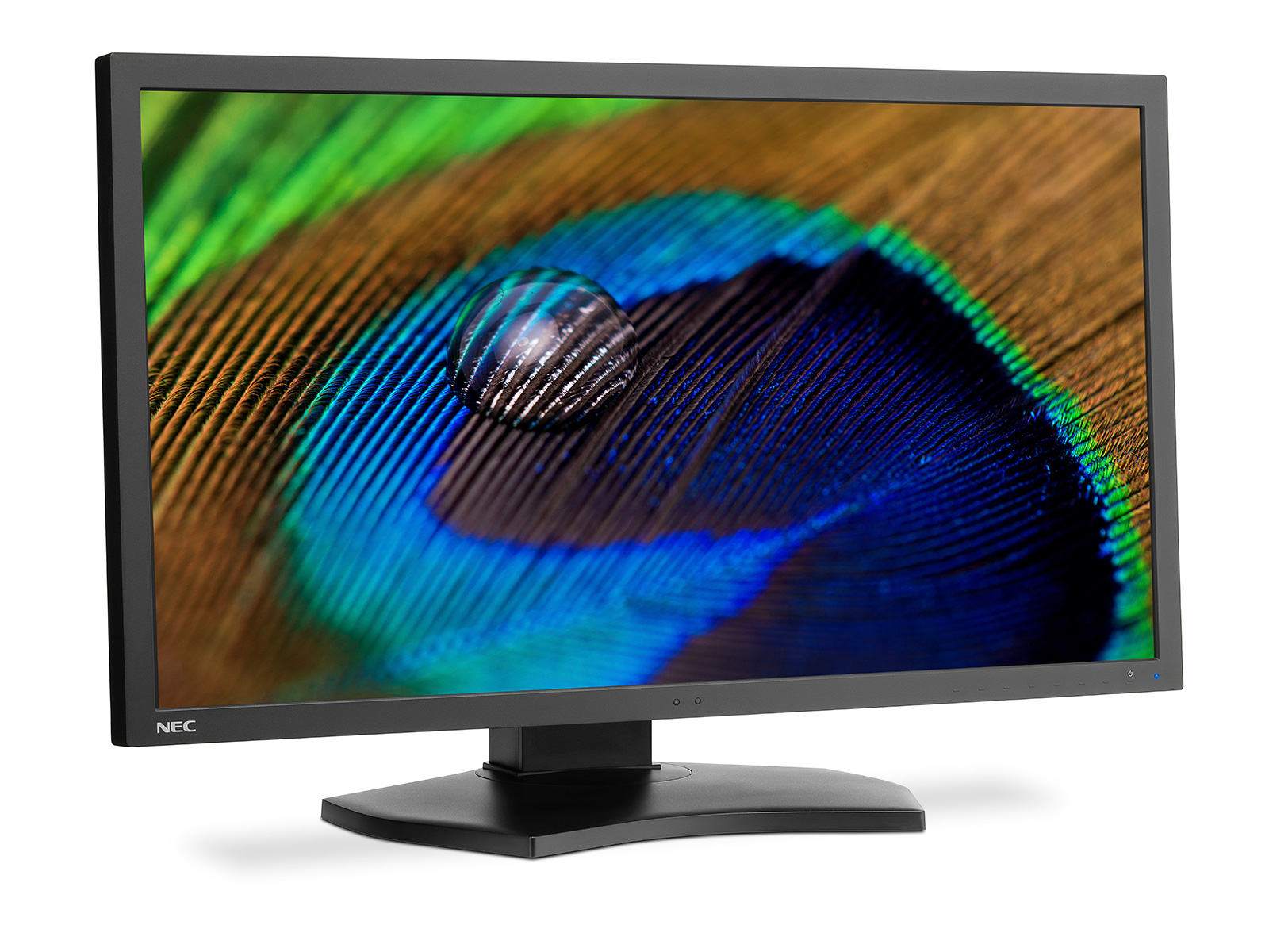 NEC Display Solutions выпустила флагманский 31-дюймовый 4K-монитор MultiSync PA311D