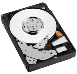 WD дополняет линейку VelociRaptor новыми спец-моделями