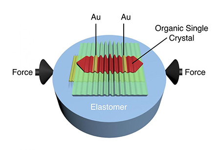 Впервые изучено влияние нанодеформаций на органические транзисторы