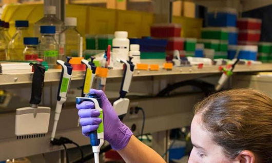 ДНК успешно использовали для записи и чтения цифровых фото