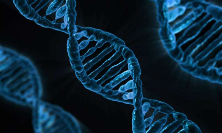 Самосборка ДНК может применяться для создания тонких и лёгких дисплеев