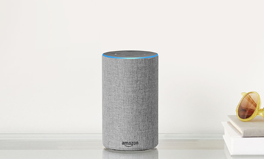 Amazon и Google доминируют на рынке умных акустических систем