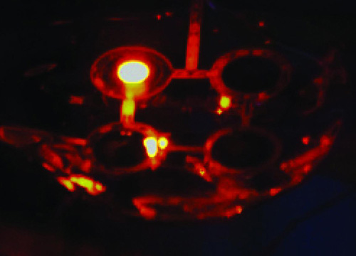 На 3D-принтере изготовлены светодиоды на квантовых точках