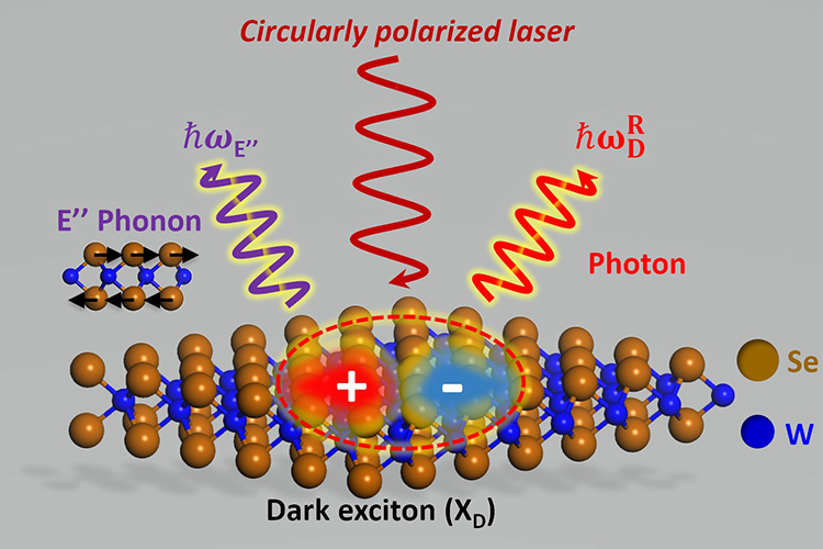 Учёные раскрывают потенциал 2D-материала для квантовых вычислений