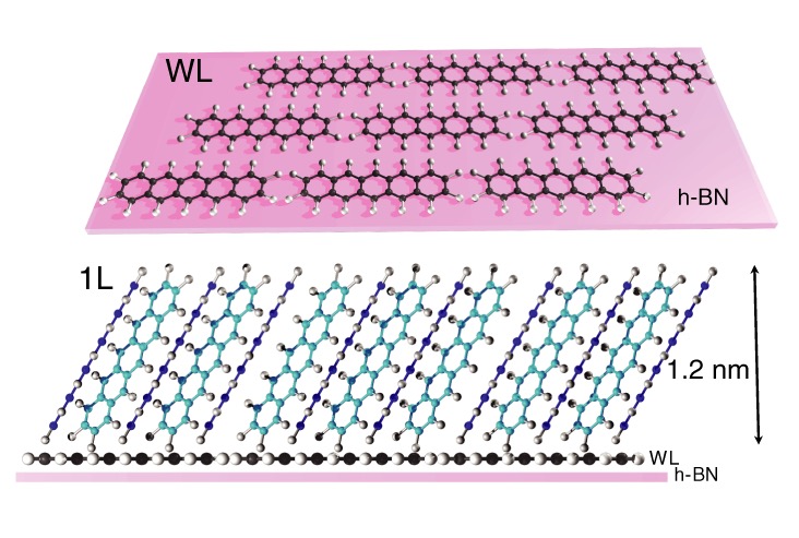 Органический 2D-кристалл для быстрой, гибкой и безотходной электроники