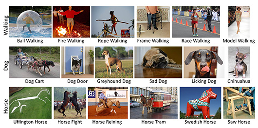 Создана программа, способная «узнать все обо всем»