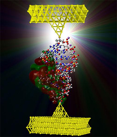 Создан электромеханический переключатель на базе ДНК