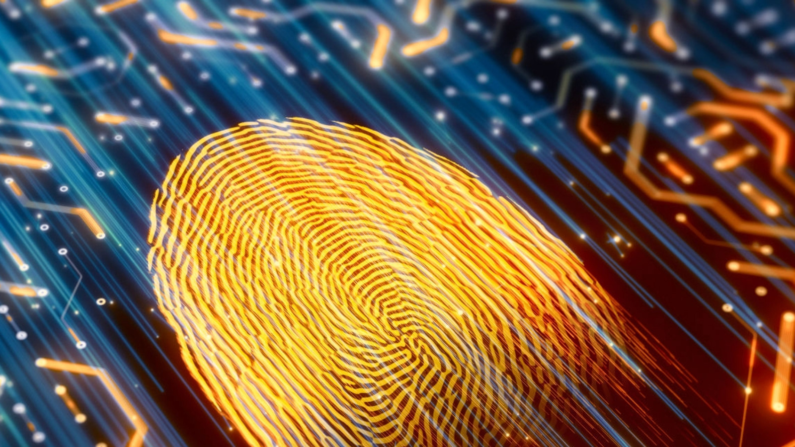 Облачные провайдеры готовят стратегии борьбы с угрозой ransomware