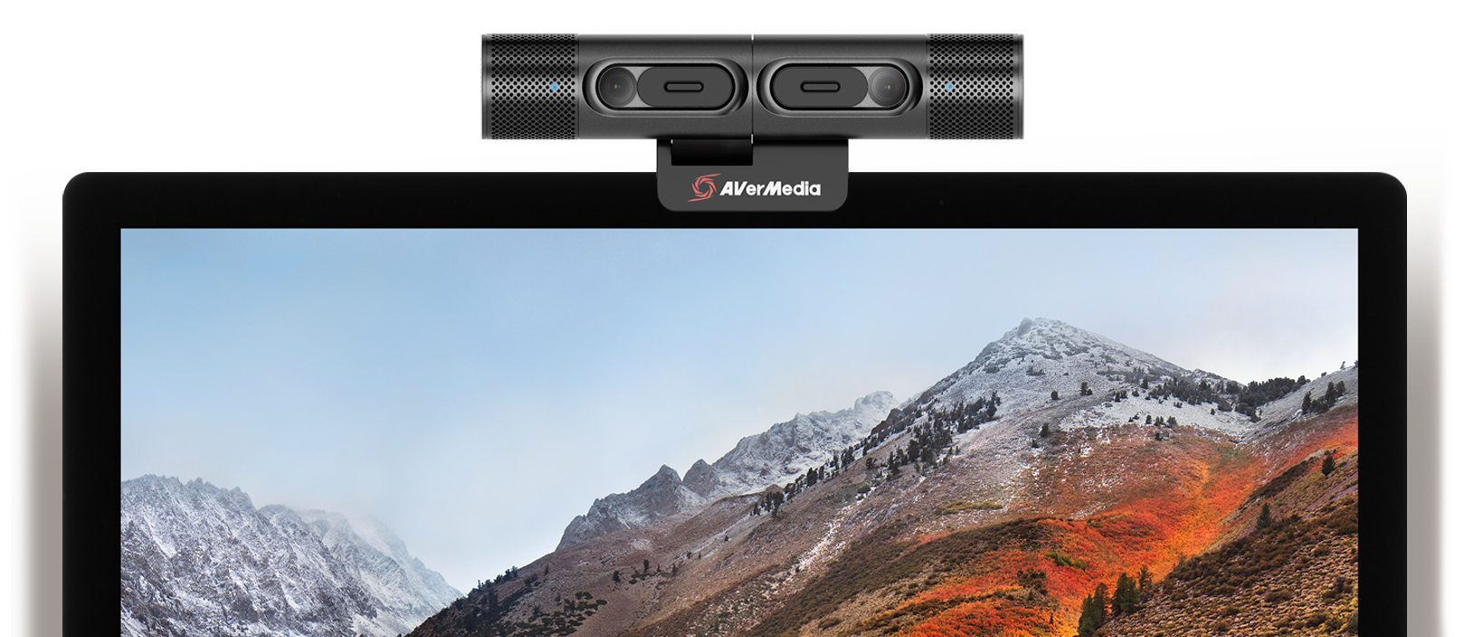 AVerMedia выпустила сдвоенную веб-камеру DUALCAM PW313D