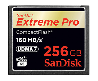 SanDisk выпускает флэш-карту емкостью 256 ГБ