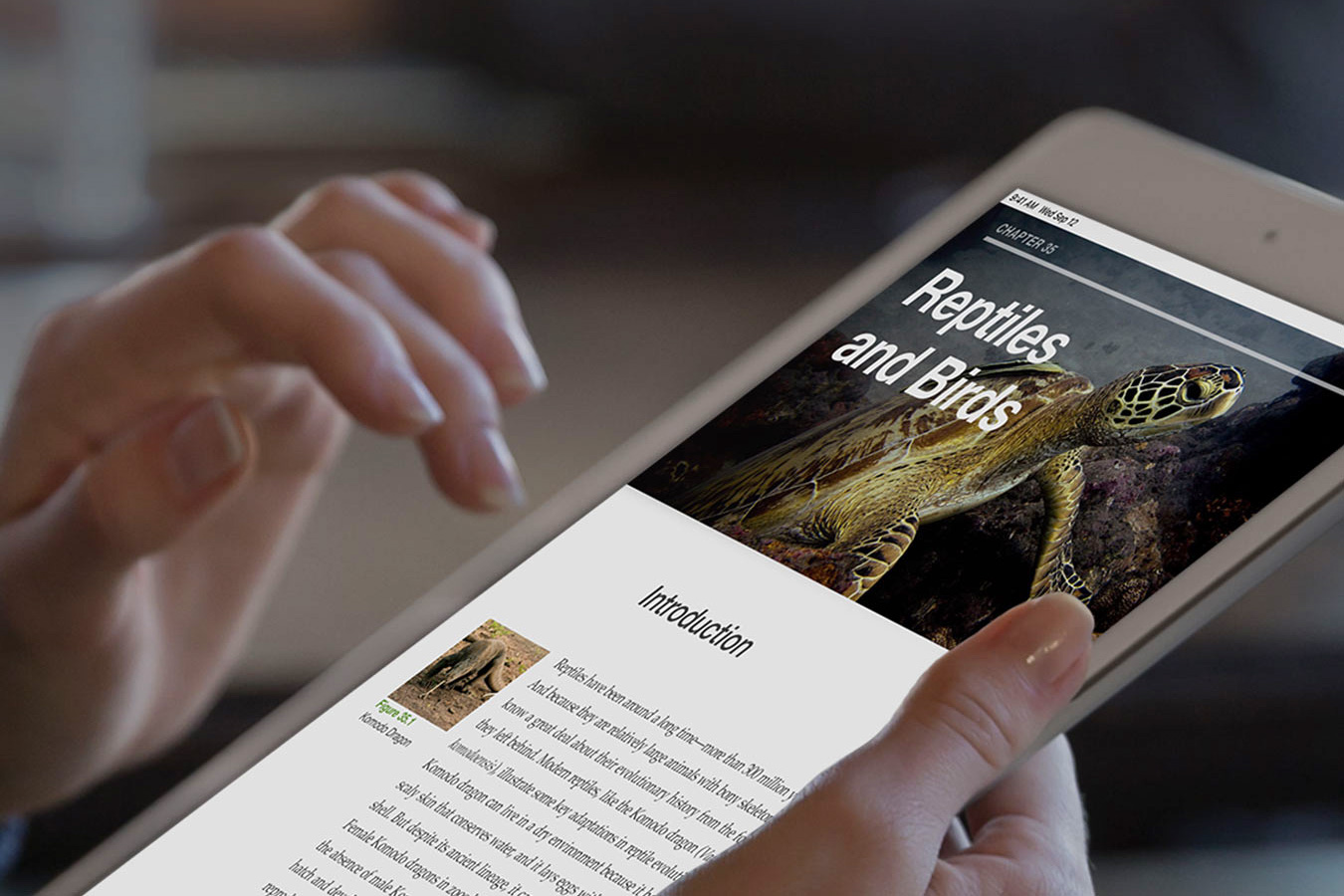 Глобальные поставки планшетов продолжат уверенно расти Глобальные поставки планшетов продолжат уверенно расти