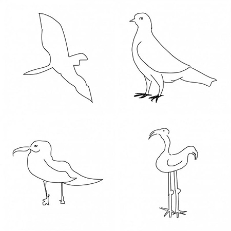Программа лучше человека справляется с узнаванием птицы на рисунке